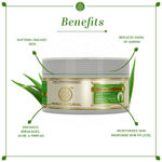 Buy Khadi Natural Green Aloe Vera Facial Massage Gel| Reduce Tan & Stress marks - (200 gm) - Purplle