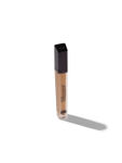 Buy Daily Life Forever52 Coverup Concealer Golden Tan (7 ml) - Purplle