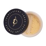 Buy Daily Life Forever52 TRANSLUCENT LOOSE SETTING POWDER TLM002 - Purplle