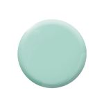Buy Colorbar Nail Lacquer Quiet Green (12 ml) - Purplle