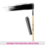 Buy Vega Mascara - EV-10 - 1 Pc - Purplle