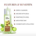 Buy Just Herbs Vitamin C, Amla & Liquorice Root brightening face wash 100 ML - Purplle