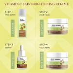 Buy Just Herbs Vitamin C, Amla & Liquorice Root brightening face wash 100 ML - Purplle