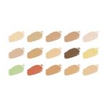 Buy Swiss Beauty HD Professional Concealer Palette 18 gm - Purplle