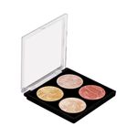 Buy Swiss Beauty Highlighter Palette - 2 - 10 gm - Purplle