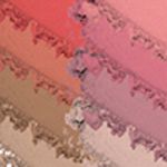 Buy Swiss Beauty Ultra Blush Palette 1(16 g) - Purplle