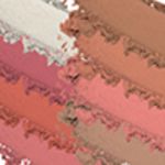 Buy Swiss Beauty Ultra Blush Palette 3(16 g) - Purplle