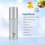 Buy Riyo Herbs Makeup Fixer Dewy Finish With Vitamin E & Tea Tree Oil Extracts, 100 ml - Purplle