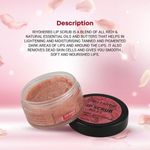 Buy Riyo Herbs Rose Lip Scrub With Shea Butter & Avocado Oil for Help Soft & Nourished Lips, 25 gm - Purplle