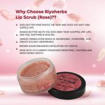 Buy Riyo Herbs Rose Lip Scrub With Shea Butter & Avocado Oil for Help Soft & Nourished Lips, 25 gm - Purplle