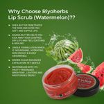 Buy Riyo Herbs Watermelon Lip Scrub With Shea Butter & Avocado Oil for Help Soft & Nourished Lips, 25 gm - Purplle
