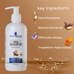 Buy Riyo Herbs Argan Oil Shampoo, Sulphate Free Organic for Damaged, Dry & Frizzy Hair, 300 ml - Purplle