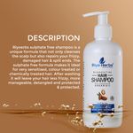 Buy Riyo Herbs Argan Oil Shampoo, Sulphate Free Organic for Damaged, Dry & Frizzy Hair, 300 ml - Purplle