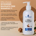 Buy Riyo Herbs Argan Oil Shampoo, Sulphate Free Organic for Damaged, Dry & Frizzy Hair, 300 ml - Purplle