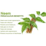 Buy Online Quality Store Neem Powder For Face & Skin_250g - Neem Leaf Powder for Skin, Anti-marks & Spots Removal, Pigmentation Cantrol, Natural Harble Face Pack {Neem_Powder_250gm} - Purplle