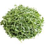 Buy Online Quality Store Brahmi Leaf Powder For Hair_400g | Brahmi Powder | Organic Brahmi Powder | Brahmi Leaves Bacopa Monnieri Powder{brahmileafpowder_400} - Purplle