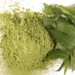 Buy Online Quality Store Neem Powder - 100 g |neem powder |neem powder for face pack organic |pure organic neem powder for face,body,skin, & hair |azadirachta indica{Neem_Powder_100gm} - Purplle