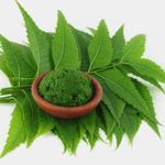 Buy Online Quality Store Neem Powder - 100 g |neem powder |neem powder for face pack organic |pure organic neem powder for face,body,skin, & hair |azadirachta indica{Neem_Powder_100gm} - Purplle