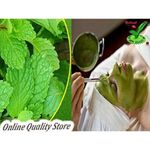 Buy Online Quality Store Mint Powder - 800 g |mint powder for face |mint leaves powder for face |mentha powder | Mentha Powder |Organic Mint Leaves Powder{Mint_800} - Purplle