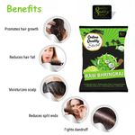 Buy Online Quality Store Raw Bringaraj_200g | Bringraj Dry Leaves Powder | Bhringraj Leaves | Bhangra - Eclipta Alba | False Daisy | Keshraj Ayurvedic Hair Masks and Hair Products{Raw_bhringraj_200 gm} - Purplle