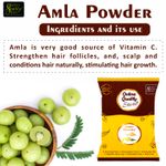 Buy Online Quality Store Amla Powder - 300 gm |Pure Amla Powder For Hair Growth |Amla powder |Organic Amla Indian Gooseberry Powder for Hair and skin |indian gooseberry{amla_300} - Purplle