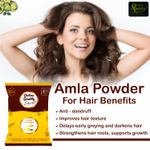Buy Online Quality Store Amla Powder - 300 gm |Pure Amla Powder For Hair Growth |Amla powder |Organic Amla Indian Gooseberry Powder for Hair and skin |indian gooseberry{amla_300} - Purplle