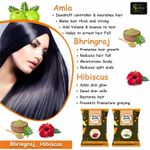 Buy Online Quality Store Amla, Reetha, Shikakai, Bhringraj and Hibiscus Powder for Hair |hair pack powder combo |hair care products |Aritha|Ritha-(Pack of 5 ,Total 1900g Pack){hib_ala_rt_sika_bri_1900} - Purplle