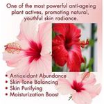 Buy Online Quality Store Raw Hibiscus - 200 g |dry hibiscus flowers|dry hibiscus flowers for hair|Hibiscus Sabdariffa|Rosa Sinensis|gudhal ke phool{Raw_hibiscus_200} - Purplle