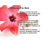 Buy Online Quality Store Raw Hibiscus - 200 g |dry hibiscus flowers|dry hibiscus flowers for hair|Hibiscus Sabdariffa|Rosa Sinensis|gudhal ke phool{Raw_hibiscus_200} - Purplle