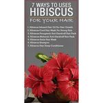 Buy Online Quality Store Raw Hibiscus - 200 g |dry hibiscus flowers|dry hibiscus flowers for hair|Hibiscus Sabdariffa|Rosa Sinensis|gudhal ke phool{Raw_hibiscus_200} - Purplle