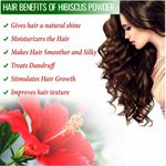 Buy Online Quality Store Raw Hibiscus - 200 g |dry hibiscus flowers|dry hibiscus flowers for hair|Hibiscus Sabdariffa|Rosa Sinensis|gudhal ke phool{Raw_hibiscus_200} - Purplle