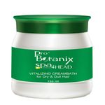 Buy Raaga Professional Pro Botanix Spa4head Vitalizing Cream Bath, 750 ml - Purplle