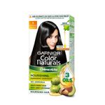 Buy Garnier Color Naturals Cream Natural Black 1 (35ml + 30 g) - Purplle