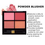 Buy S.f.r Color Angel Rose 4 Color Powder Blusher Palette AR-0192-03 (12 g) - Purplle