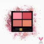 Buy S.f.r Color Angel Rose 4 Color Powder Blusher Palette AR-0192-03 (12 g) - Purplle