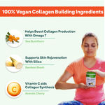 Buy Oziva Plant Based Collagen Builder - Pack Of 2(250g each) - Purplle