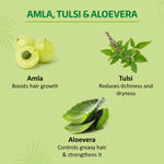 Buy Nyle Naturals Dryness Hydration Shampoo, With Tulsi, Amla and Aloe Vera,Gental & Soft, 90ml - Purplle