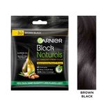 Buy Garnier Black Naturals Shade 3 20g + 20ml - Purplle