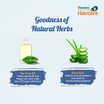 Buy Himalaya Anti-Dandruff Shampoo (200 ml) - Purplle