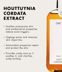Buy ONE THING Houttuynia Cordata Extract (150ml) - Purplle