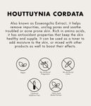 Buy ONE THING Houttuynia Cordata Extract (150ml) - Purplle