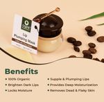 Buy Organic Harvest Lip Plumping Sleeping Mask with Coffee Extracts, For Dry, Dull, Hydration & Repair of Chapped Lips | Best for Men & Women (8 g) - Purplle