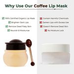 Buy Organic Harvest Lip Plumping Sleeping Mask with Coffee Extracts, For Dry, Dull, Hydration & Repair of Chapped Lips | Best for Men & Women (8 g) - Purplle