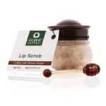 Buy Organic Harvest Lip Scrub with Coffee Extracts, For Lightening & Brightening Dull Lips, Infused with Natural Products to Repair Dark, and Damaged Lips, Best for Men & Women, 100% Organic (8 g) - Purplle