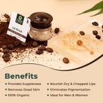 Buy Organic Harvest Lip Scrub with Coffee Extracts, For Lightening & Brightening Dull Lips, Infused with Natural Products to Repair Dark, and Damaged Lips, Best for Men & Women, 100% Organic (8 g) - Purplle
