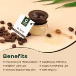 Buy Organic Harvest Lip Serum Coffee With Vitamin E, Naturally Brightens & Softens the Dark Lips, Soft & Plumped Lips For Men & Women, Best for Dry & Chapped Lips, 100% Organic, Paraben Free - Purplle