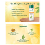 Buy Biotique Morning Nectar Sun Protect Moisturizer (120 ml) - Purplle