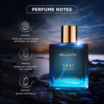 Buy Bella Vita Luxury SKAI AQUATIC Perfume (100 ml) - Purplle