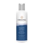 Buy Be Soulfull 2-In-1 Shampoo & Body Wash | Head-To-Toe Cleanser with Argan Oil, Apple Cider Vinegar, Pomegranate Extract & Pro-Vitamin B5 I 200 ml (For Men & Women) - Purplle