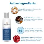 Buy Be Soulfull 2-In-1 Shampoo & Body Wash | Head-To-Toe Cleanser with Argan Oil, Apple Cider Vinegar, Pomegranate Extract & Pro-Vitamin B5 I 200 ml (For Men & Women) - Purplle
